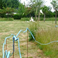 Landscale, juin 2010 - Ligne de crête - Laurent Boucheron